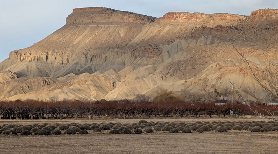 Mount Garfield over Palisade, Colorado, 2025-01-07